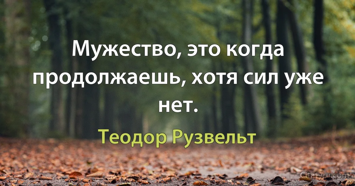 Мужество, это когда продолжаешь, хотя сил уже нет. (Теодор Рузвельт)