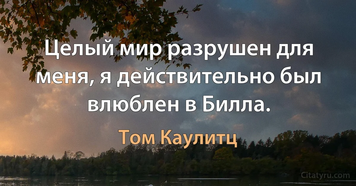 Целый мир разрушен для меня, я действительно был влюблен в Билла. (Том Каулитц)