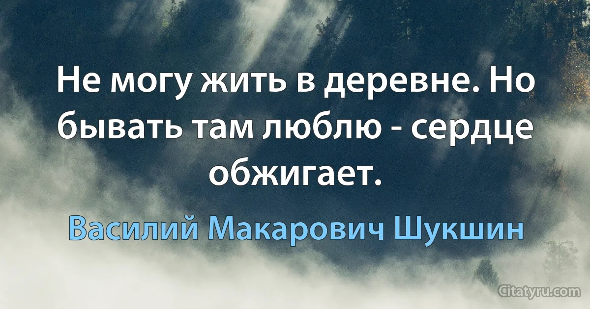 Не могу жить в деревне. Но бывать там люблю - сердце обжигает. (Василий Макарович Шукшин)