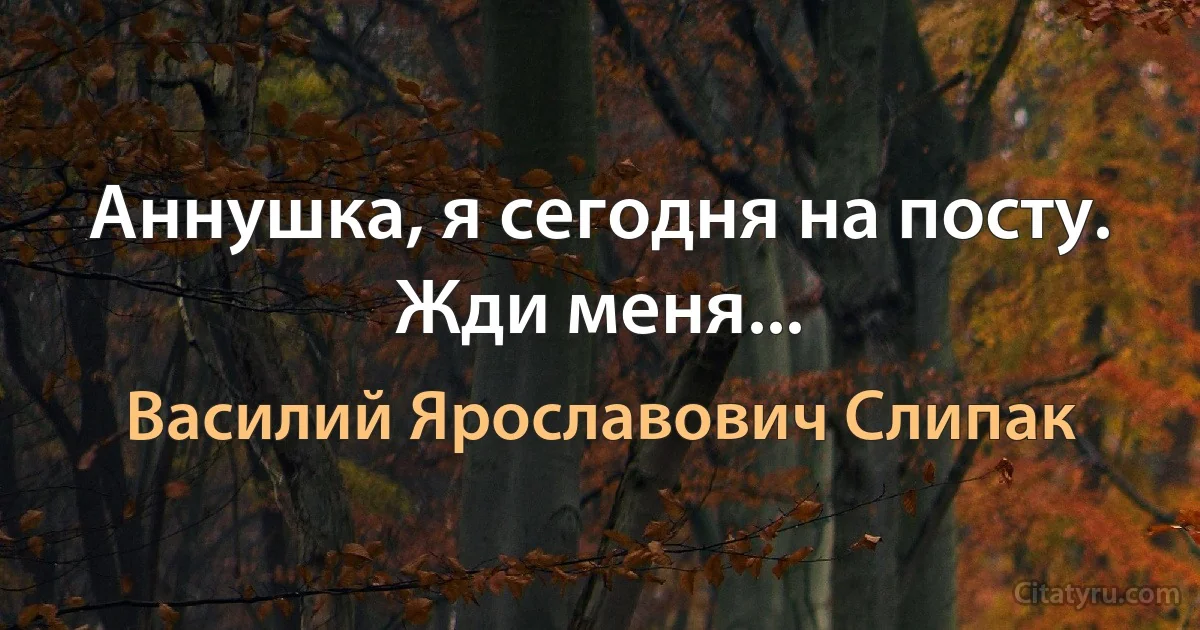 Аннушка, я сегодня на посту. Жди меня... (Василий Ярославович Слипак)