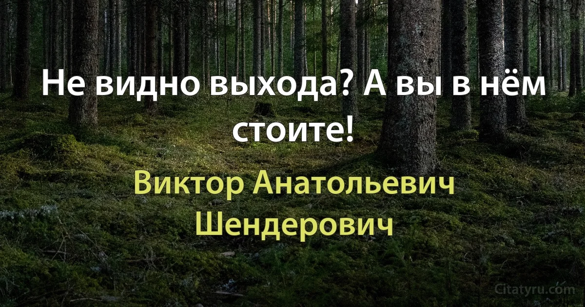 Не видно выхода? А вы в нём стоите! (Виктор Анатольевич Шендерович)