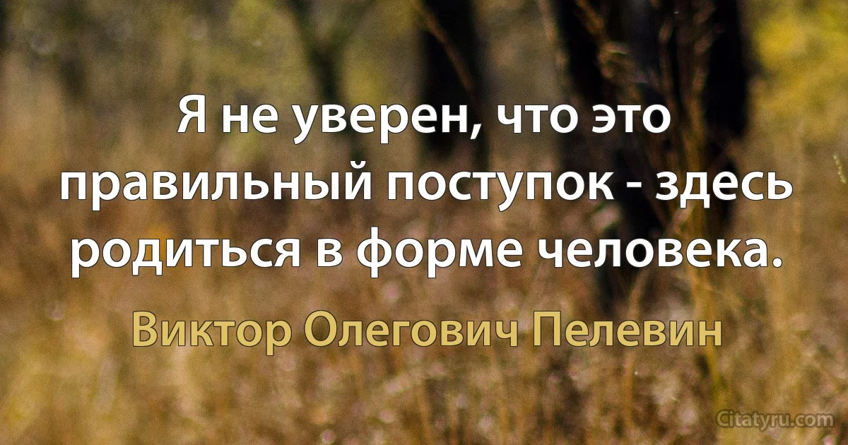 Я не уверен, что это правильный поступок - здесь родиться в форме человека. (Виктор Олегович Пелевин)