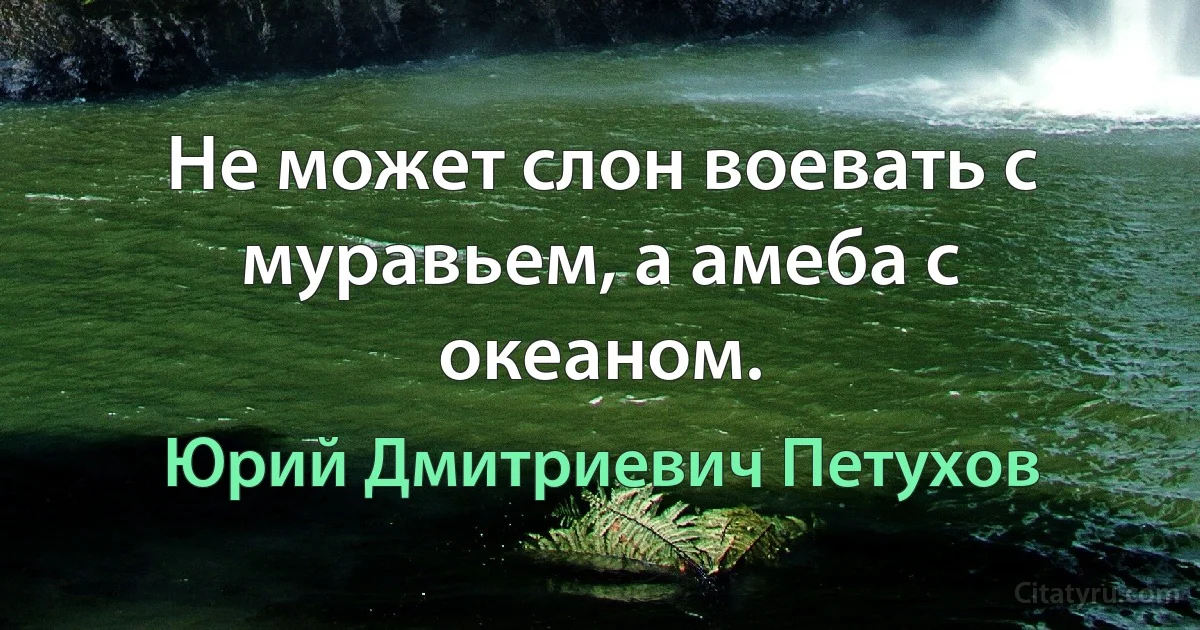 Не может слон воевать с муравьем, а амеба с океаном. (Юрий Дмитриевич Петухов)