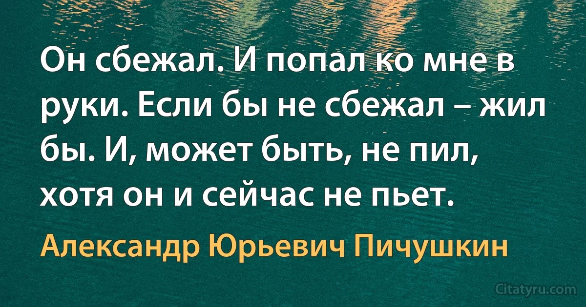 Он сбежал. И попал ко мне в руки. Если бы не сбежал – жил бы. И, может быть, не пил, хотя он и сейчас не пьет. (Александр Юрьевич Пичушкин)