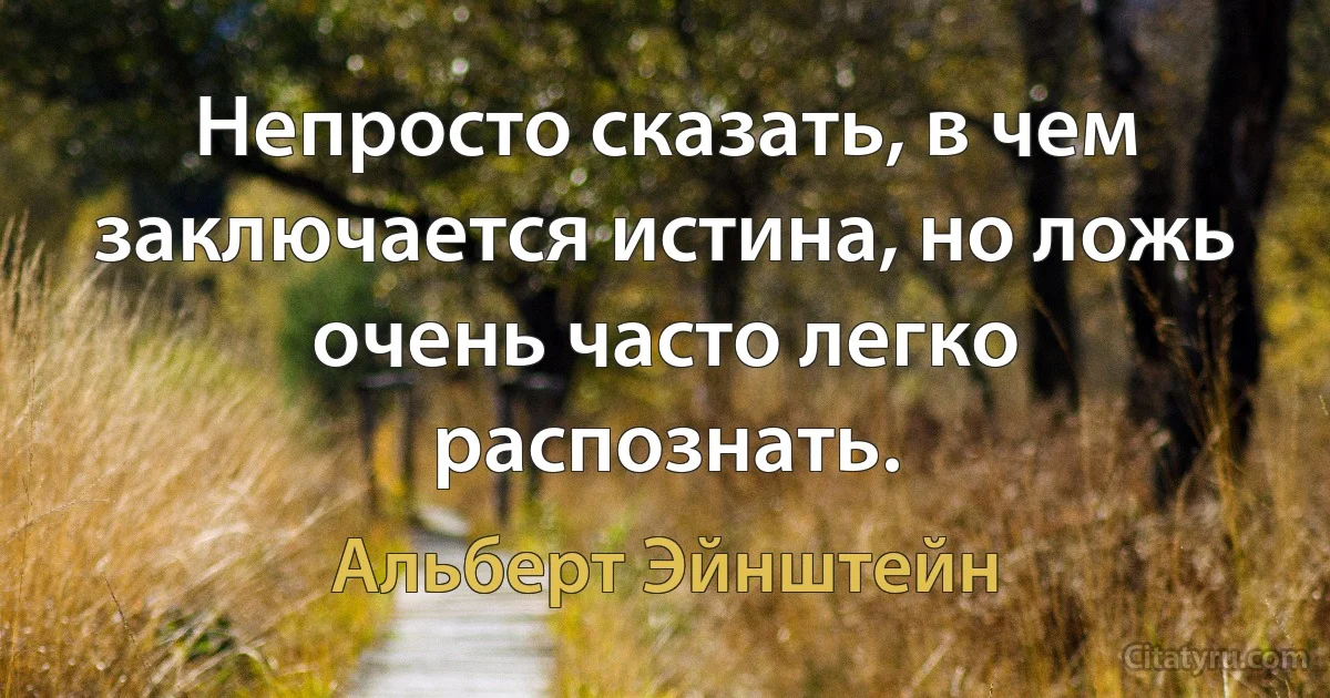 Непросто сказать, в чем заключается истина, но ложь очень часто легко распознать. (Альберт Эйнштейн)