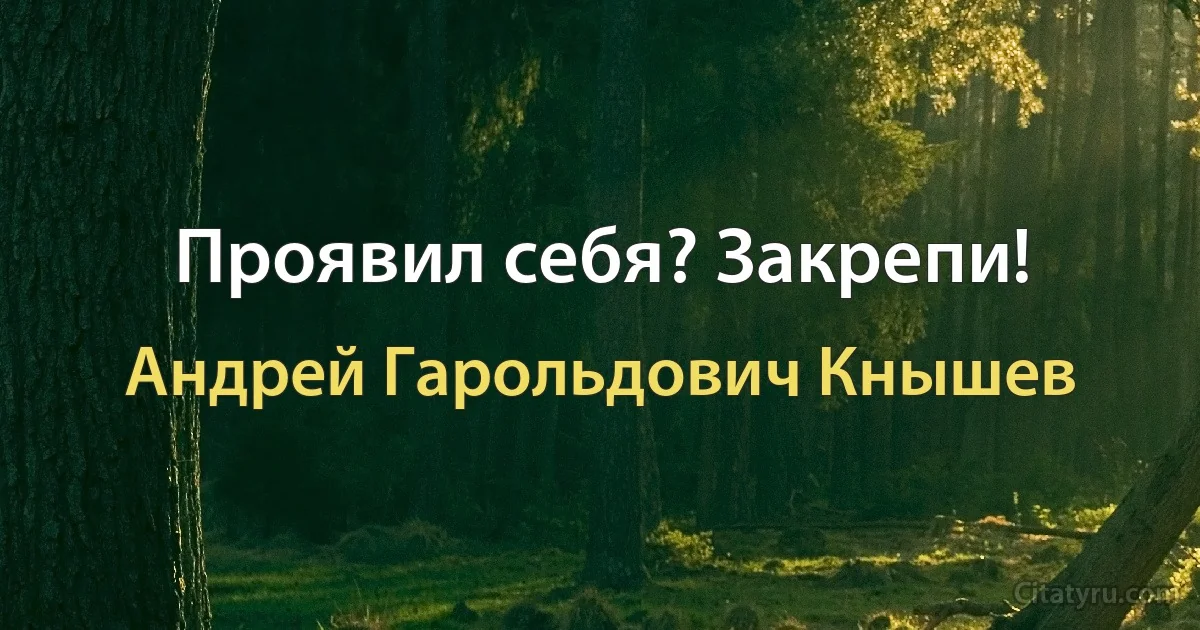 Проявил себя? Закрепи! (Андрей Гарольдович Кнышев)