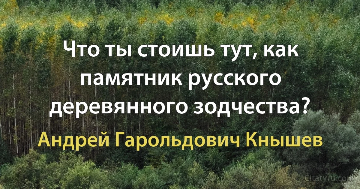 Что ты стоишь тут, как памятник русского деревянного зодчества? (Андрей Гарольдович Кнышев)