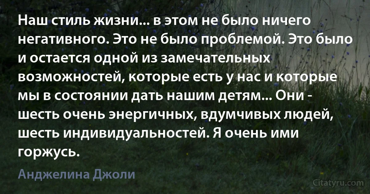 Наш стиль жизни... в этом не было ничего негативного. Это не было проблемой. Это было и остается одной из замечательных возможностей, которые есть у нас и которые мы в состоянии дать нашим детям... Они - шесть очень энергичных, вдумчивых людей, шесть индивидуальностей. Я очень ими горжусь. (Анджелина Джоли)