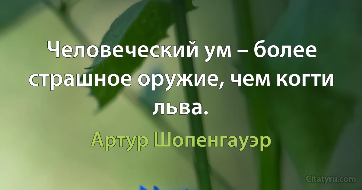 Человеческий ум – более страшное оружие, чем когти льва. (Артур Шопенгауэр)