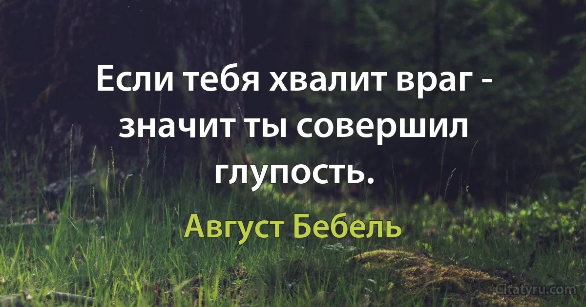 Если тебя хвалит враг - значит ты совершил глупость. (Август Бебель)