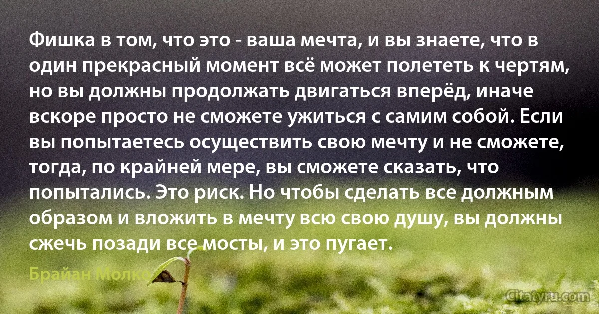 Фишка в том, что это - ваша мечта, и вы знаете, что в один прекрасный момент всё может полететь к чертям, но вы должны продолжать двигаться вперёд, иначе вскоре просто не сможете ужиться с самим собой. Если вы попытаетесь осуществить свою мечту и не сможете, тогда, по крайней мере, вы сможете сказать, что попытались. Это риск. Но чтобы сделать все должным образом и вложить в мечту всю свою душу, вы должны сжечь позади все мосты, и это пугает. (Брайан Молко)