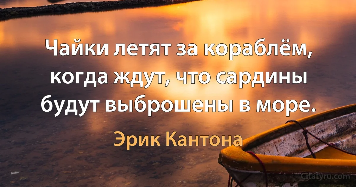 Чайки летят за кораблём, когда ждут, что сардины будут выброшены в море. (Эрик Кантона)