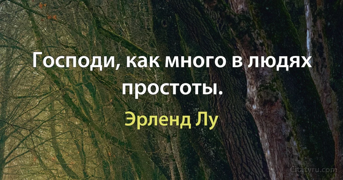 Господи, как много в людях простоты. (Эрленд Лу)