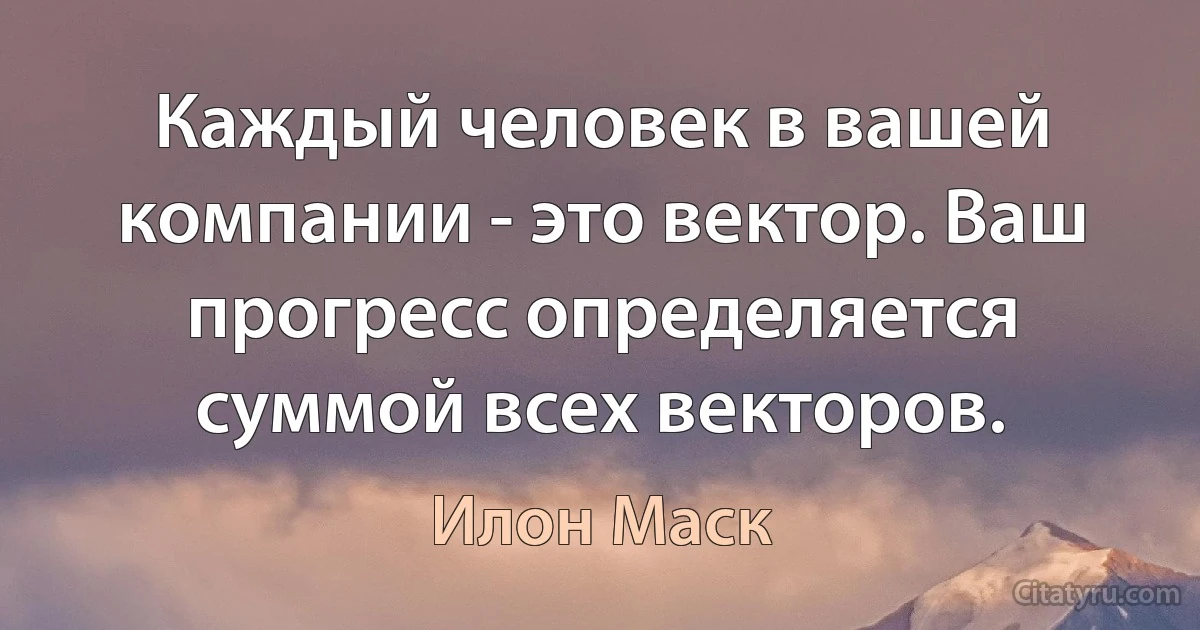 Каждый человек в вашей компании - это вектор. Ваш прогресс определяется суммой всех векторов. (Илон Маск)