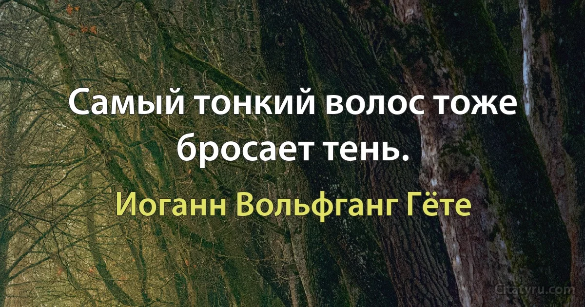 Самый тонкий волос тоже бросает тень. (Иоганн Вольфганг Гёте)