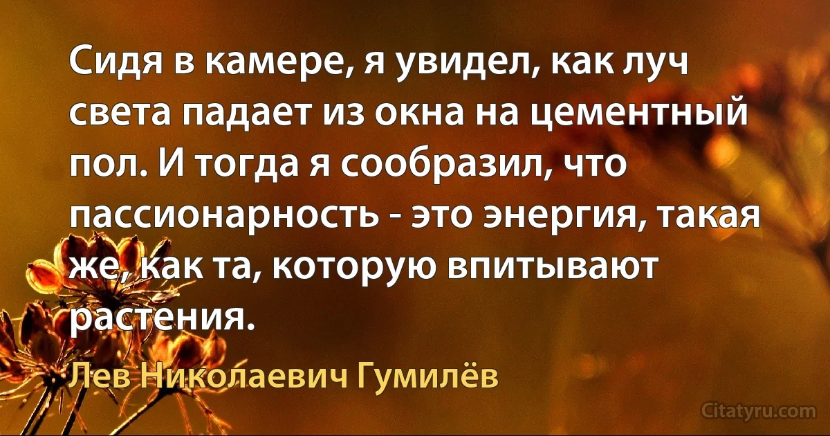 Сидя в камере, я увидел, как луч света падает из окна на цементный пол. И тогда я сообразил, что пассионарность - это энергия, такая же, как та, которую впитывают растения. (Лев Николаевич Гумилёв)