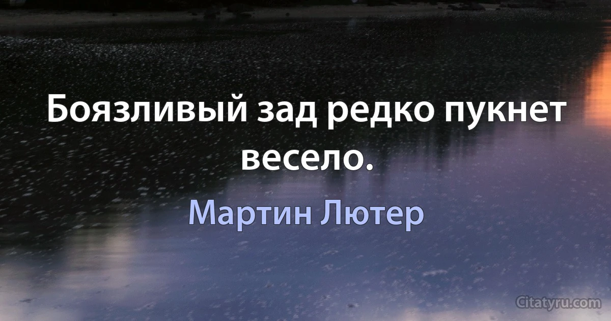 Боязливый зад редко пукнет весело. (Мартин Лютер)