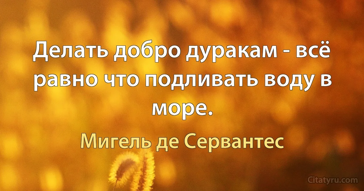 Делать добро дуракам - всё равно что подливать воду в море. (Мигель де Сервантес)