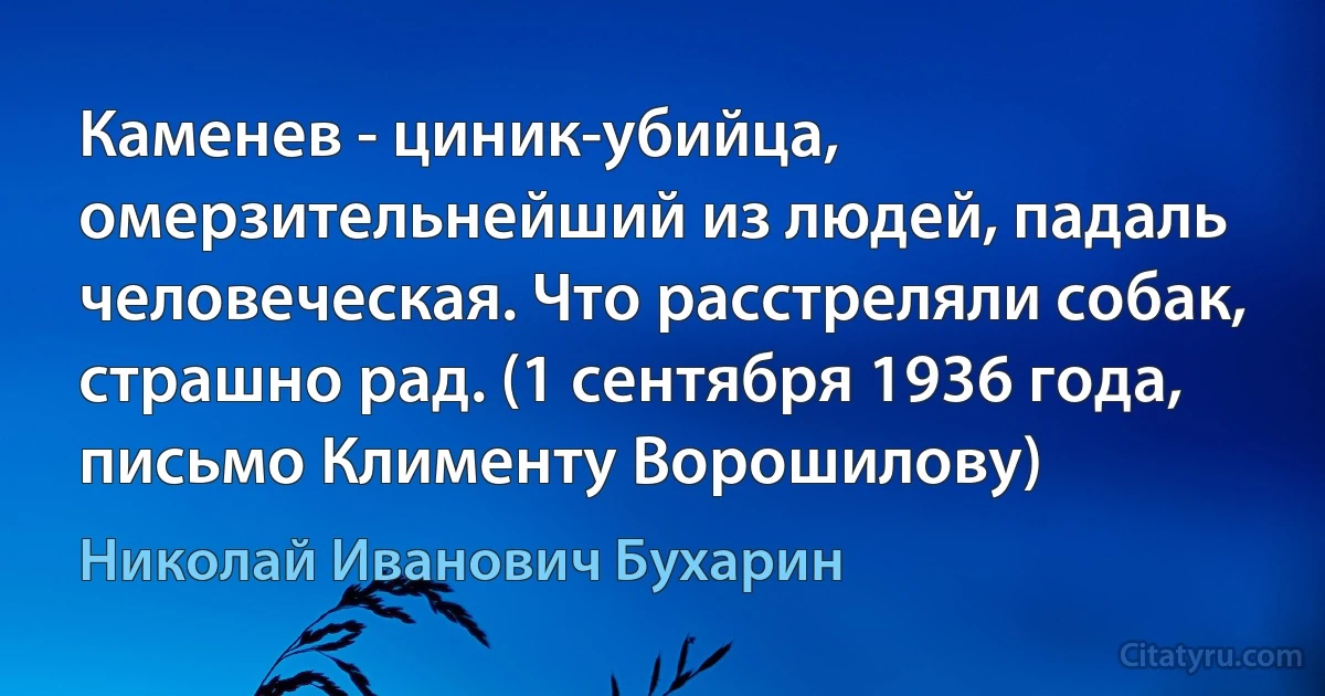 Каменев - циник-убийца, омерзительнейший из людей, падаль человеческая. Что расстреляли собак, страшно рад. (1 сентября 1936 года, письмо Клименту Ворошилову) (Николай Иванович Бухарин)