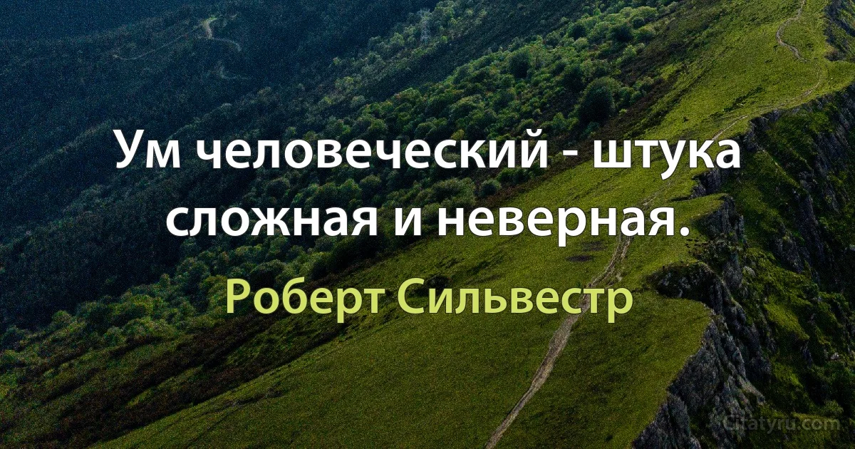 Ум человеческий - штука сложная и неверная. (Роберт Сильвестр)