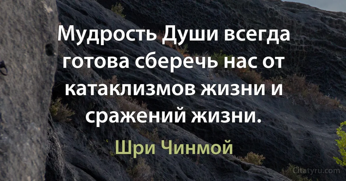 Мудрость Души всегда готова сберечь нас от катаклизмов жизни и сражений жизни. (Шри Чинмой)