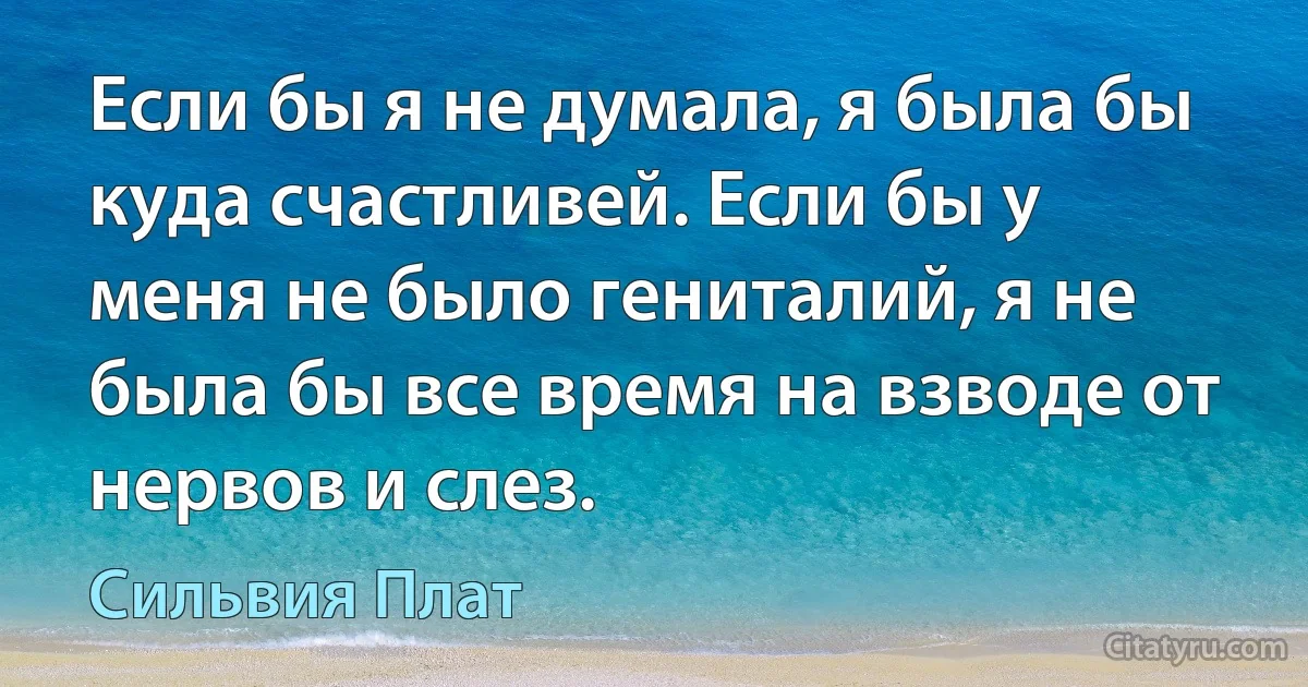 Если бы я не думала, я была бы куда счастливей. Если бы у меня не было гениталий, я не была бы все время на взводе от нервов и слез. (Сильвия Плат)