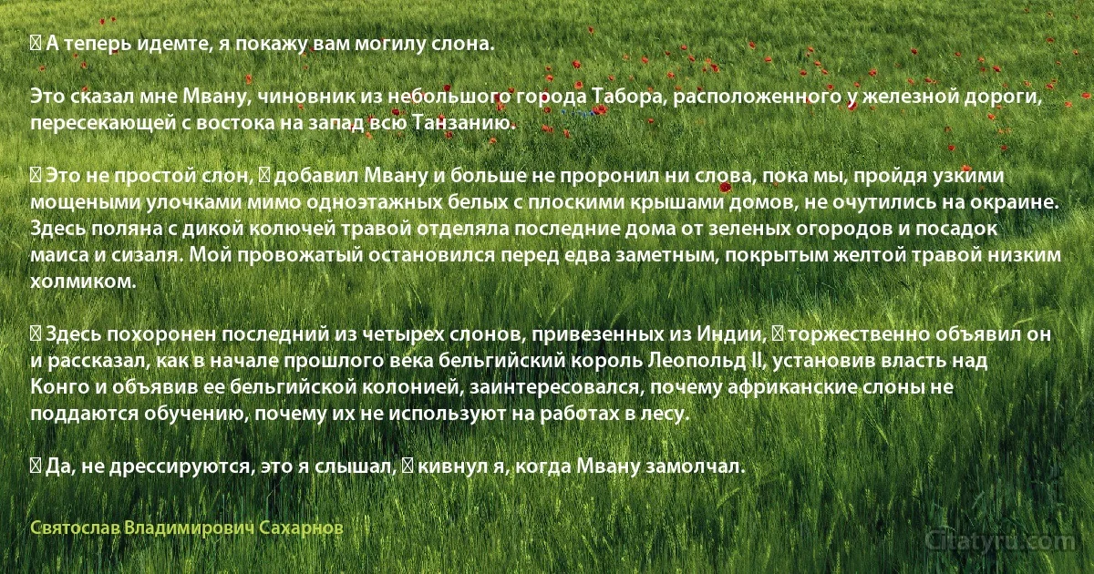 ― А теперь идемте, я покажу вам могилу слона.

Это сказал мне Мвану, чиновник из небольшого города Табора, расположенного у железной дороги, пересекающей с востока на запад всю Танзанию.

― Это не простой слон, ― добавил Мвану и больше не проронил ни слова, пока мы, пройдя узкими мощеными улочками мимо одноэтажных белых с плоскими крышами домов, не очутились на окраине. Здесь поляна с дикой колючей травой отделяла последние дома от зеленых огородов и посадок маиса и сизаля. Мой провожатый остановился перед едва заметным, покрытым желтой травой низким холмиком.

― Здесь похоронен последний из четырех слонов, привезенных из Индии, ― торжественно объявил он и рассказал, как в начале прошлого века бельгийский король Леопольд II, установив власть над Конго и объявив ее бельгийской колонией, заинтересовался, почему африканские слоны не поддаются обучению, почему их не используют на работах в лесу.

― Да, не дрессируются, это я слышал, ― кивнул я, когда Мвану замолчал. (Святослав Владимирович Сахарнов)