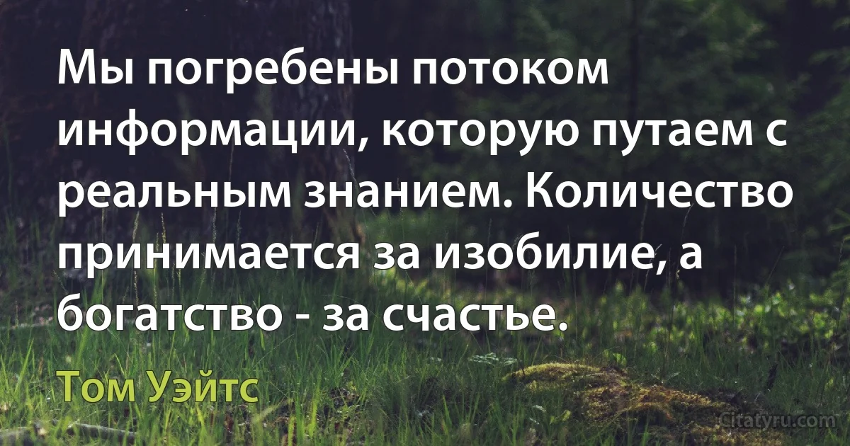 Мы погребены потоком информации, которую путаем с реальным знанием. Количество принимается за изобилие, а богатство - за счастье. (Том Уэйтс)