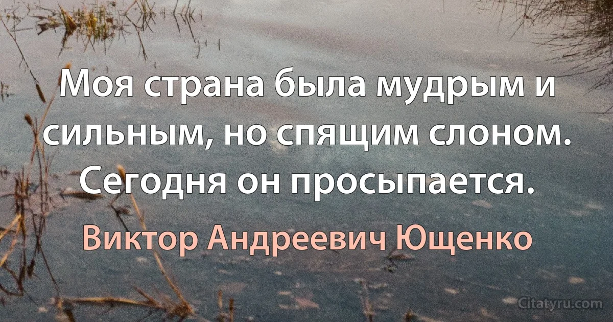 Моя страна была мудрым и сильным, но спящим слоном. Сегодня он просыпается. (Виктор Андреевич Ющенко)