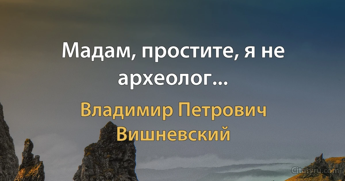 Мадам, простите, я не археолог... (Владимир Петрович Вишневский)