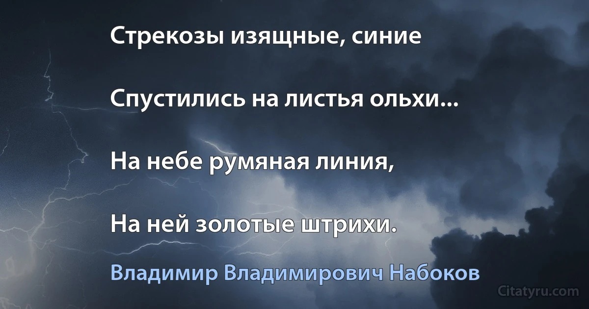 Стрекозы изящные, синие

Спустились на листья ольхи...

На небе румяная линия,

На ней золотые штрихи. (Владимир Владимирович Набоков)