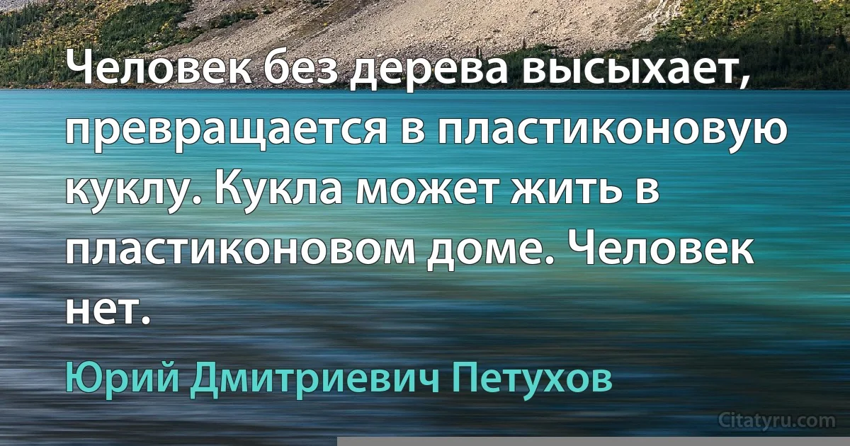 Человек без дерева высыхает, превращается в пластиконовую куклу. Кукла может жить в пластиконовом доме. Человек нет. (Юрий Дмитриевич Петухов)