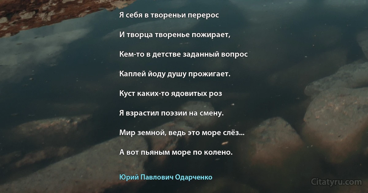 Я себя в твореньи перерос

И творца творенье пожирает,

Кем-то в детстве заданный вопрос

Каплей йоду душу прожигает.

Куст каких-то ядовитых роз

Я взрастил поэзии на смену.

Мир земной, ведь это море слёз...

А вот пьяным море по колено. (Юрий Павлович Одарченко)