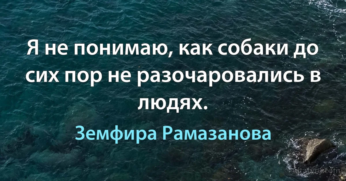 Я не понимаю, как собаки до сих пор не разочаровались в людях. (Земфира Рамазанова)