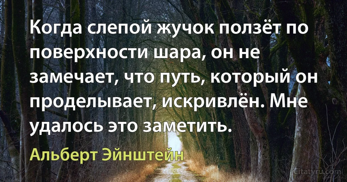 Когда слепой жучок ползёт по поверхности шара, он не замечает, что путь, который он проделывает, искривлён. Мне удалось это заметить. (Альберт Эйнштейн)