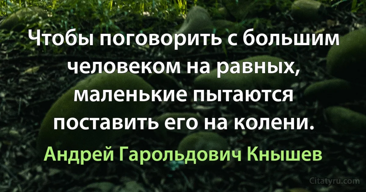 Чтобы поговорить с большим человеком на равных, маленькие пытаются поставить его на колени. (Андрей Гарольдович Кнышев)