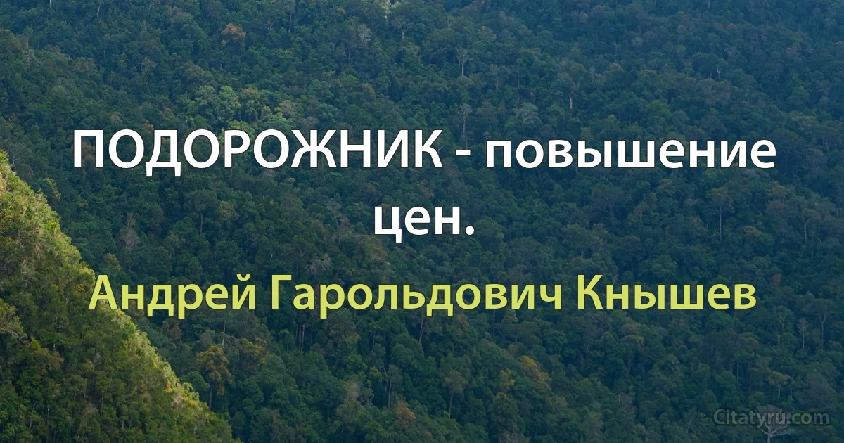 ПОДОРОЖНИК - повышение цен. (Андрей Гарольдович Кнышев)