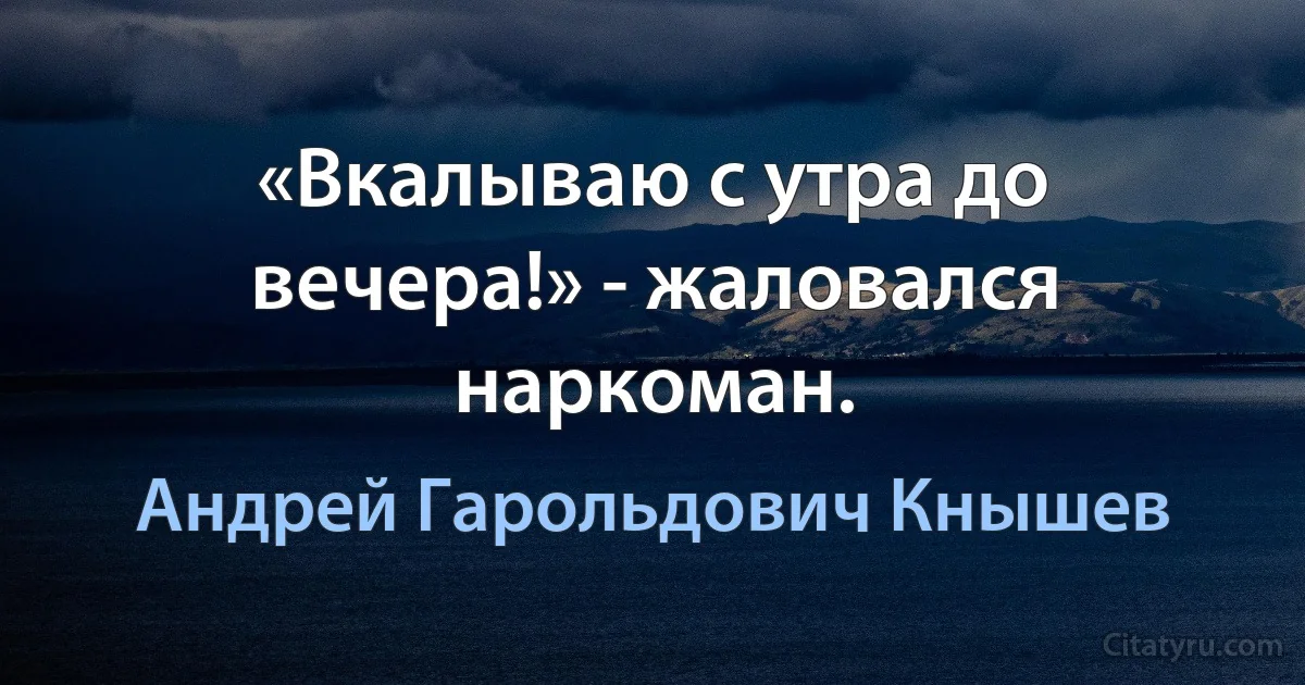 «Вкалываю с утра до вечера!» - жаловался наркоман. (Андрей Гарольдович Кнышев)