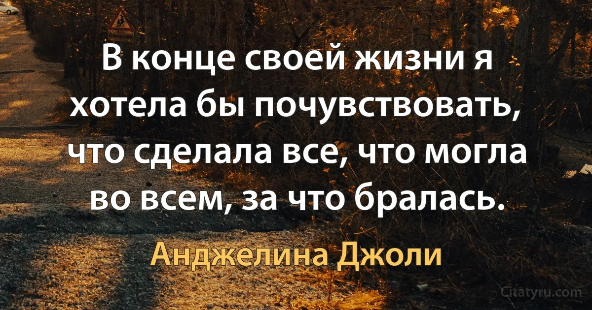 В конце своей жизни я хотела бы почувствовать, что сделала все, что могла во всем, за что бралась. (Анджелина Джоли)