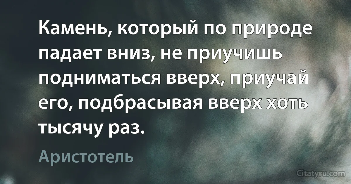 Камень, который по природе падает вниз, не приучишь подниматься вверх, приучай его, подбрасывая вверх хоть тысячу раз. (Аристотель)