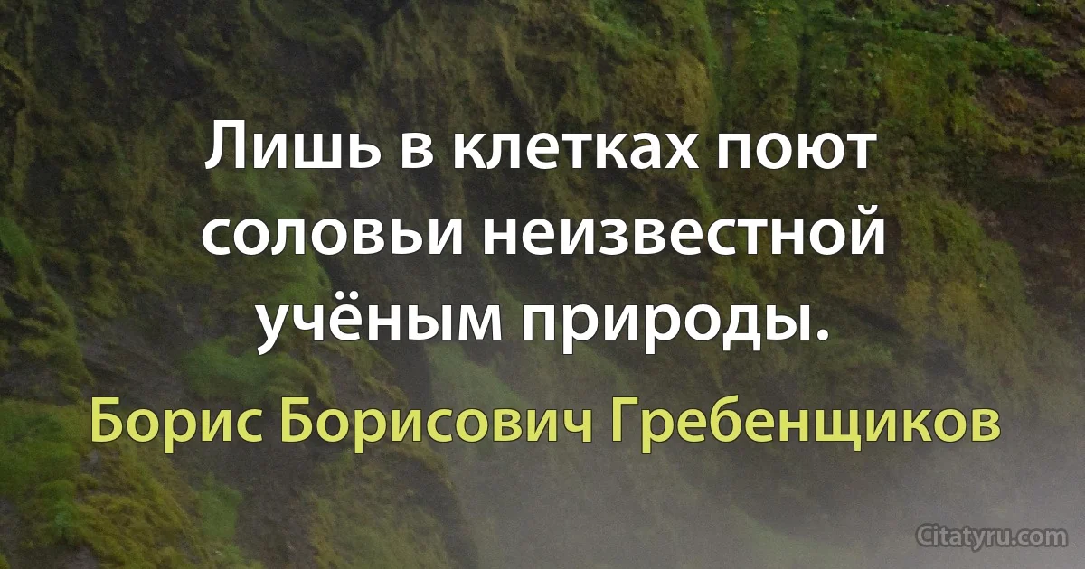 Лишь в клетках поют соловьи неизвестной учёным природы. (Борис Борисович Гребенщиков)