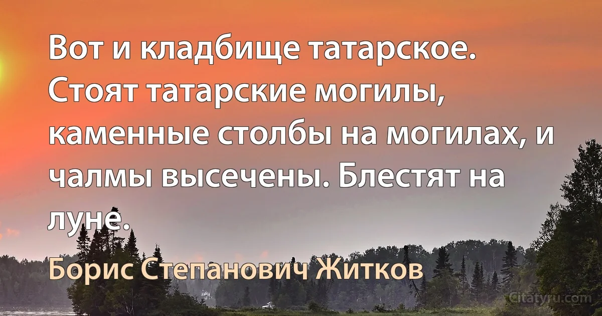 Вот и кладбище татарское. Стоят татарские могилы, каменные столбы на могилах, и чалмы высечены. Блестят на луне. (Борис Степанович Житков)