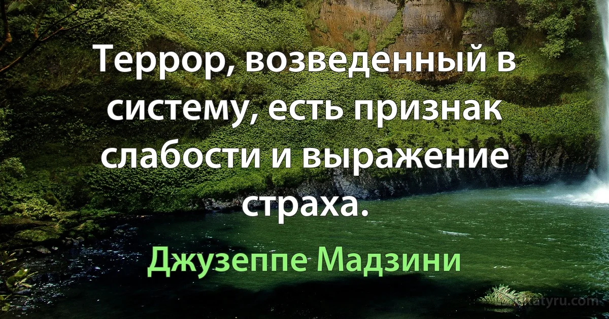 Террор, возведенный в систему, есть признак слабости и выражение страха. (Джузеппе Мадзини)