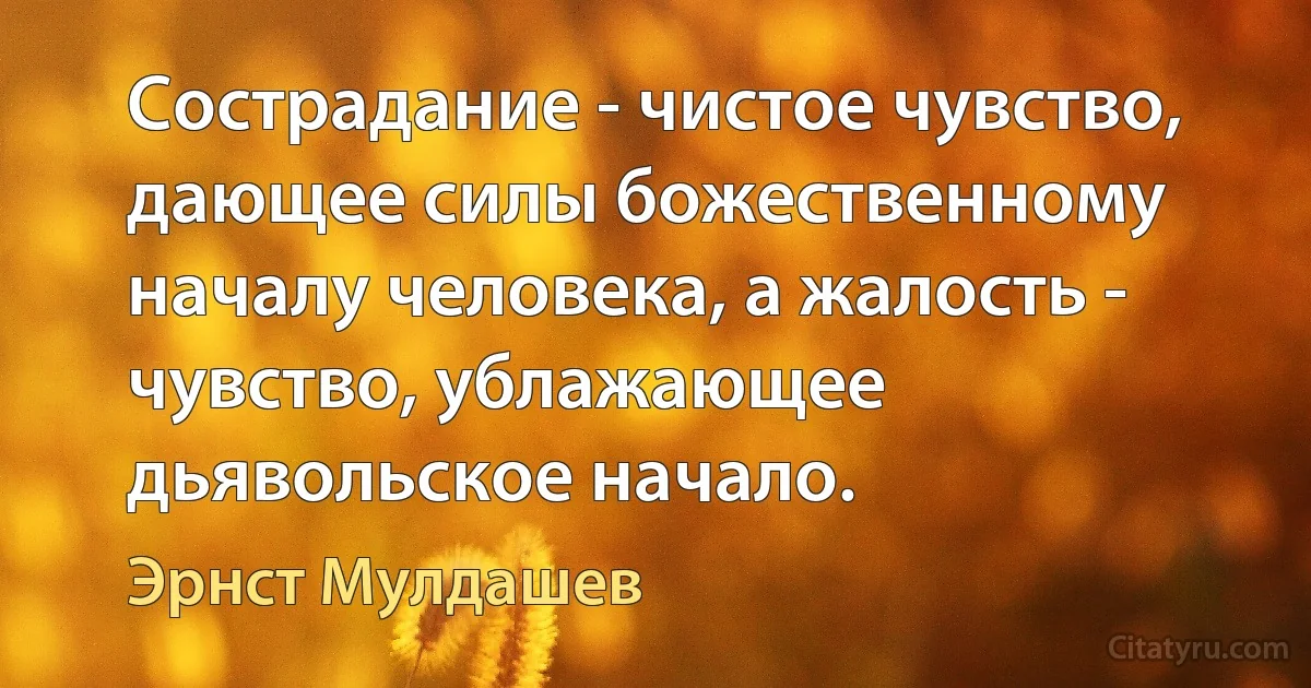 Сострадание - чистое чувство, дающее силы божественному началу человека, а жалость - чувство, ублажающее дьявольское начало. (Эрнст Мулдашев)