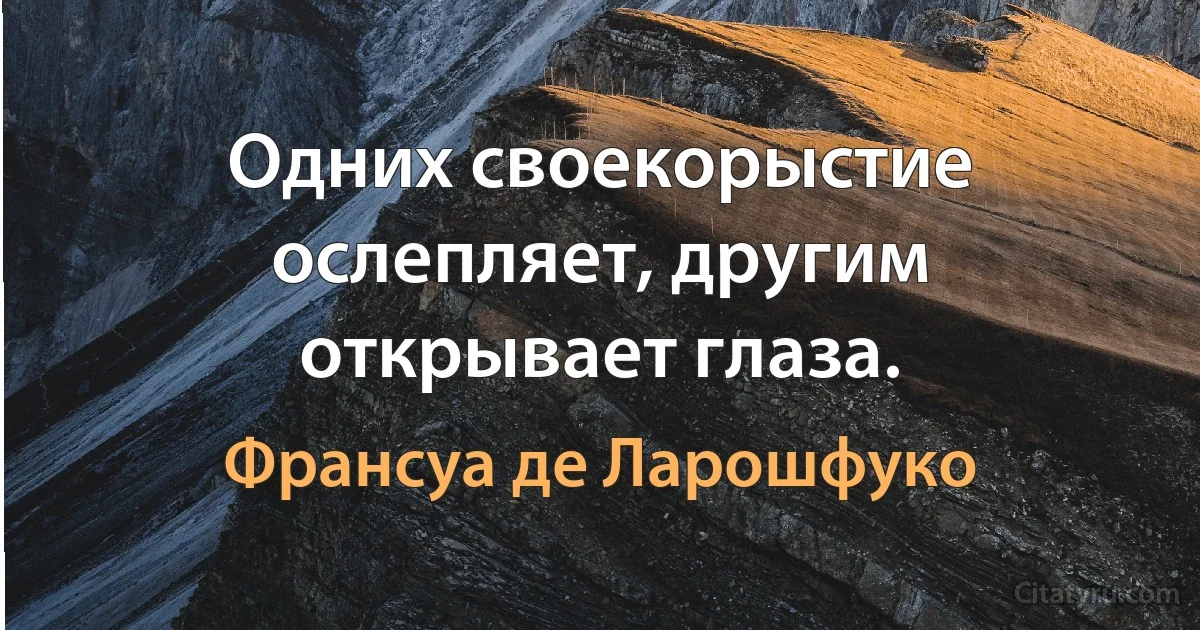 Одних своекорыстие ослепляет, другим открывает глаза. (Франсуа де Ларошфуко)