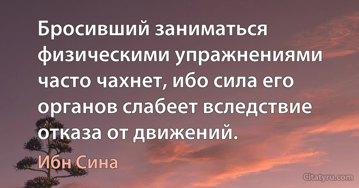 Бросивший заниматься физическими упражнениями часто чахнет, ибо сила его органов слабеет вследствие отказа от движений. (Ибн Сина)