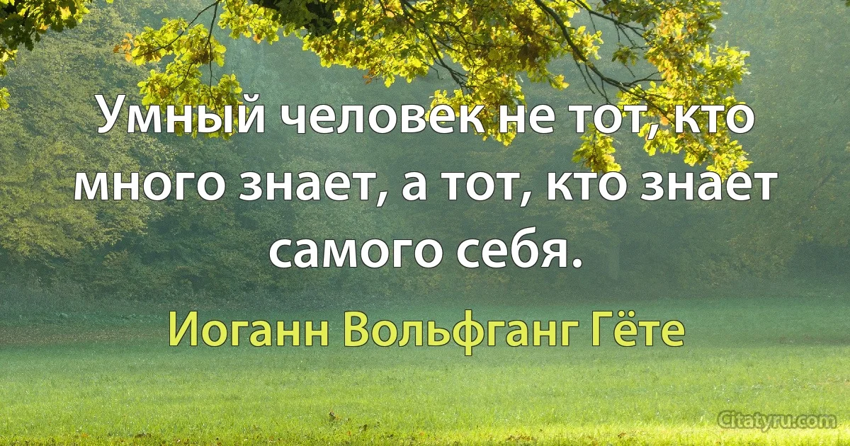 Умный человек не тот, кто много знает, а тот, кто знает самого себя. (Иоганн Вольфганг Гёте)