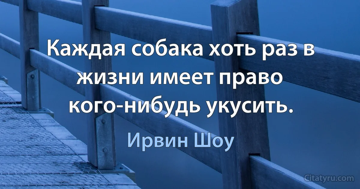 Каждая собака хоть раз в жизни имеет право кого-нибудь укусить. (Ирвин Шоу)