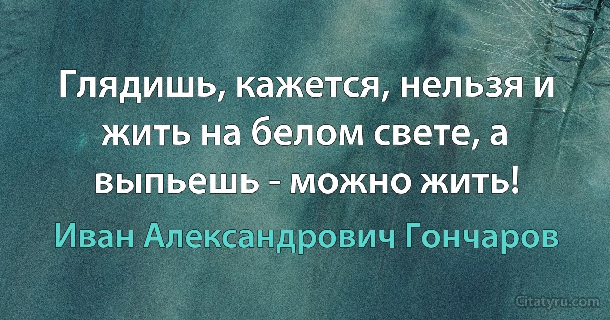 Глядишь, кажется, нельзя и жить на белом свете, а выпьешь - можно жить! (Иван Александрович Гончаров)