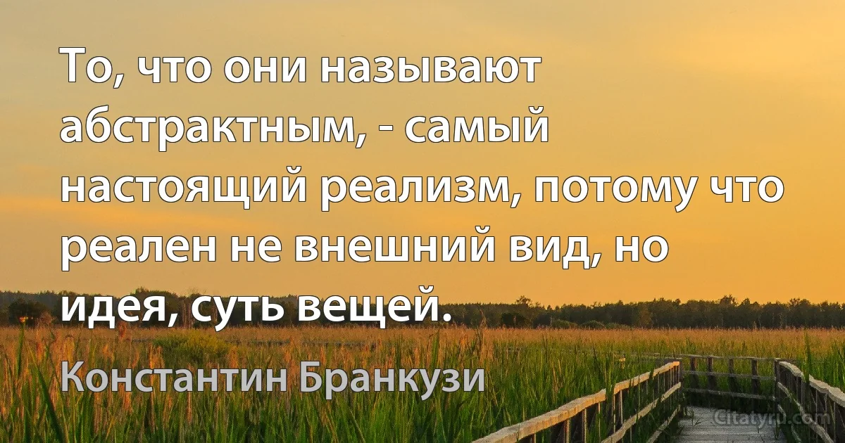 То, что они называют абстрактным, - самый настоящий реализм, потому что реален не внешний вид, но идея, суть вещей. (Константин Бранкузи)